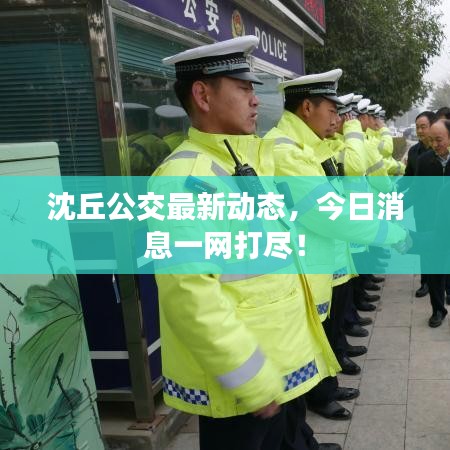 沈丘公交最新動(dòng)態(tài)，今日消息一網(wǎng)打盡！