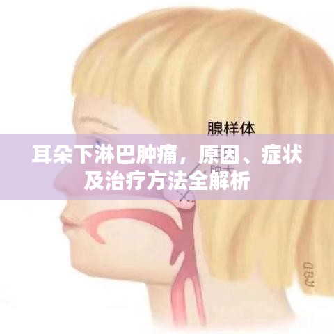 耳朵下淋巴腫痛，原因、癥狀及治療方法全解析