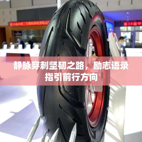 靜脈穿刺堅韌之路，勵志語錄指引前行方向