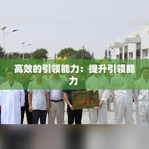 高效的引領(lǐng)能力：提升引領(lǐng)能力 