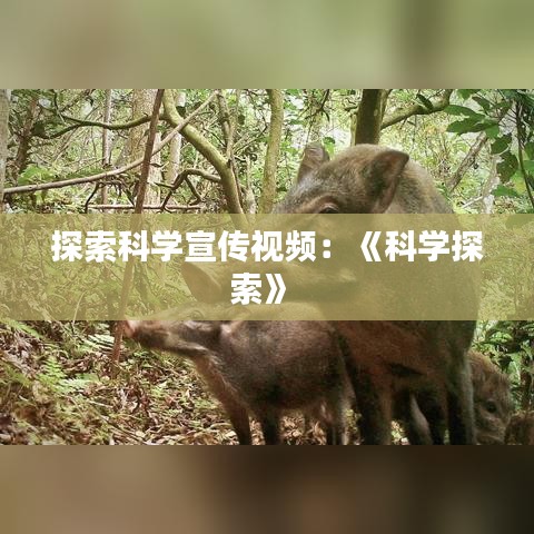 探索科學宣傳視頻：《科學探索》 