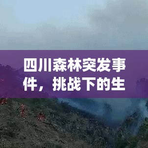 四川森林突發(fā)事件，挑戰(zhàn)下的生態(tài)守護與保護重要性