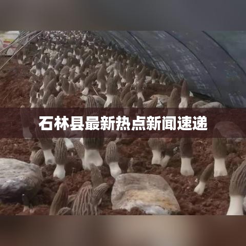 鳥語蟬鳴 第3頁