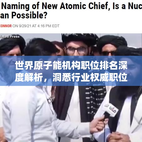 世界原子能機構(gòu)職位排名深度解析，洞悉行業(yè)權(quán)威職位排名內(nèi)幕！