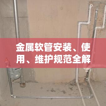 映月讀書 第3頁