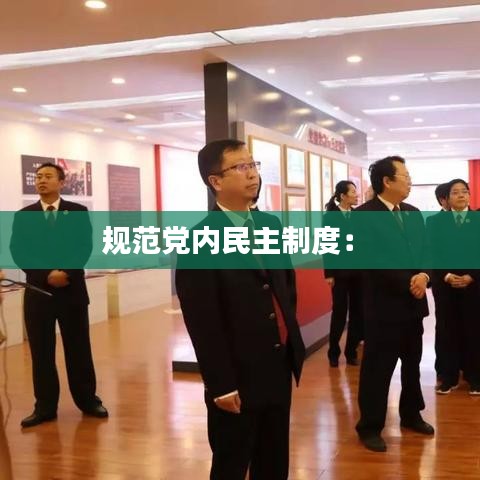 規(guī)范黨內(nèi)民主制度： 