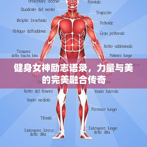 健身女神勵志語錄，力量與美的完美融合傳奇