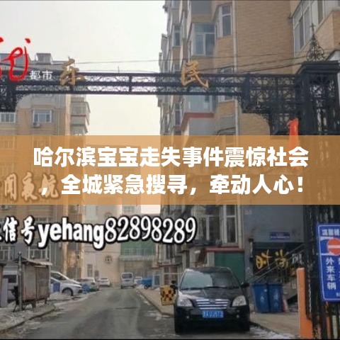 哈爾濱寶寶走失事件震驚社會(huì)，全城緊急搜尋，牽動(dòng)人心！