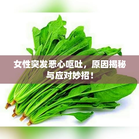 女性突發(fā)惡心嘔吐，原因揭秘與應(yīng)對(duì)妙招！