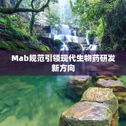 Mab規(guī)范引領(lǐng)現(xiàn)代生物藥研發(fā)新方向