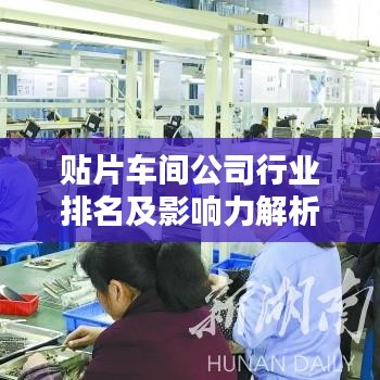 省吃細(xì)用 第3頁