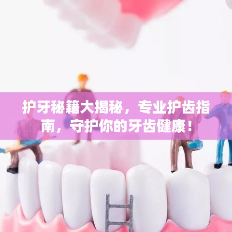 護(hù)牙秘籍大揭秘，專(zhuān)業(yè)護(hù)齒指南，守護(hù)你的牙齒健康！