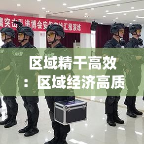 區(qū)域精干高效：區(qū)域經(jīng)濟(jì)高質(zhì)量發(fā)展舉措 