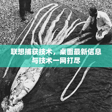 聯(lián)想捕獲技術(shù)，桌面最新信息與技術(shù)一網(wǎng)打盡