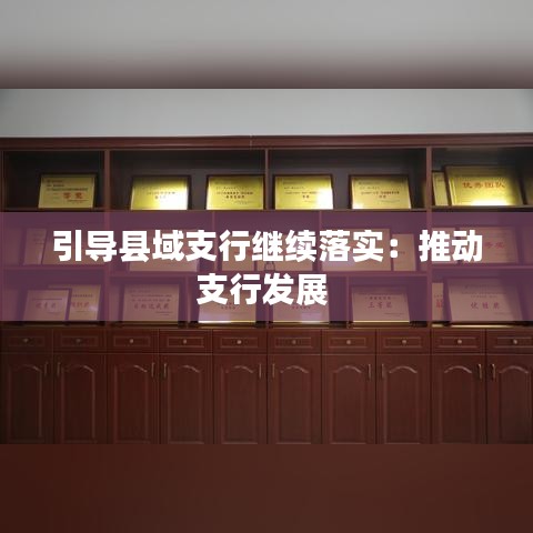 引導(dǎo)縣域支行繼續(xù)落實：推動支行發(fā)展 
