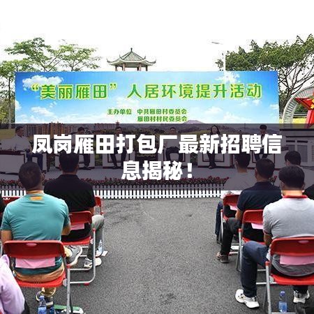 鳳崗雁田打包廠(chǎng)最新招聘信息揭秘！