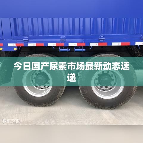 今日國產(chǎn)尿素市場(chǎng)最新動(dòng)態(tài)速遞