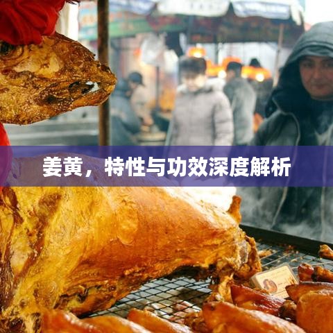 姜黃，特性與功效深度解析