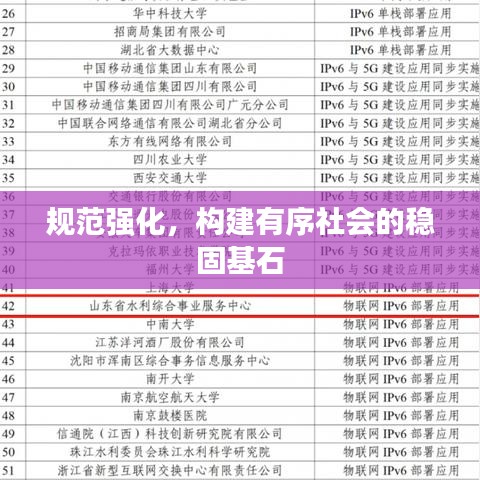 規(guī)范強(qiáng)化，構(gòu)建有序社會(huì)的穩(wěn)固基石