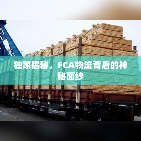 獨家揭秘，F(xiàn)CA物流背后的神秘面紗