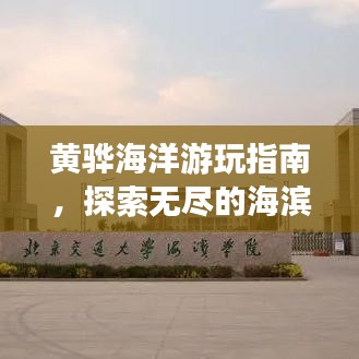 黃驊海洋游玩指南，探索無盡的海濱魅力！