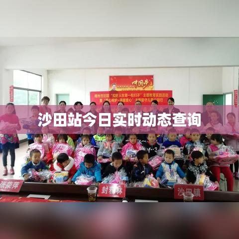 沙田站今日實(shí)時(shí)動(dòng)態(tài)查詢(xún)