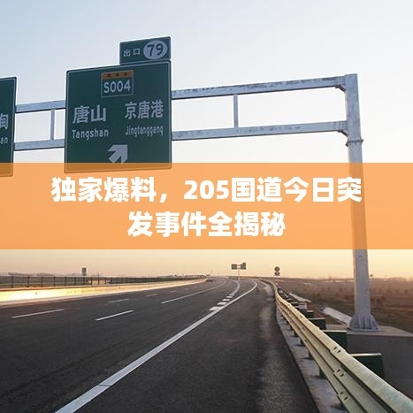 獨(dú)家爆料，205國道今日突發(fā)事件全揭秘