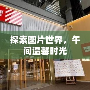 探索圖片世界，午間溫馨時(shí)光