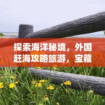 探索海洋秘境，外國趕海攻略旅游，寶藏之旅開啟！