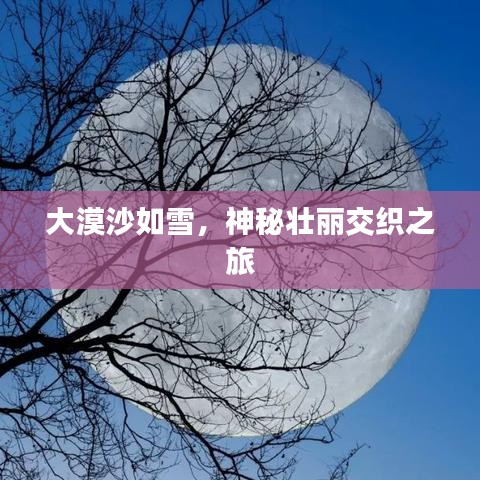 大漠沙如雪，神秘壯麗交織之旅