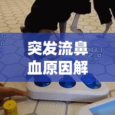 突發(fā)流鼻血原因解析，處理及預(yù)防措施全攻略