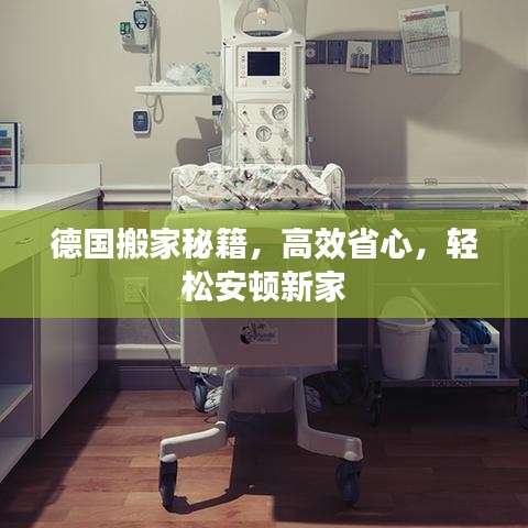德國搬家秘籍，高效省心，輕松安頓新家