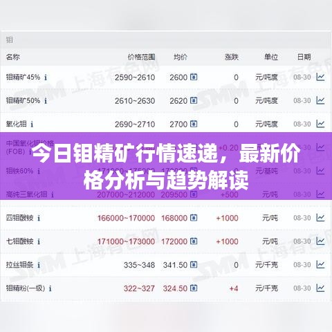今日鉬精礦行情速遞，最新價格分析與趨勢解讀