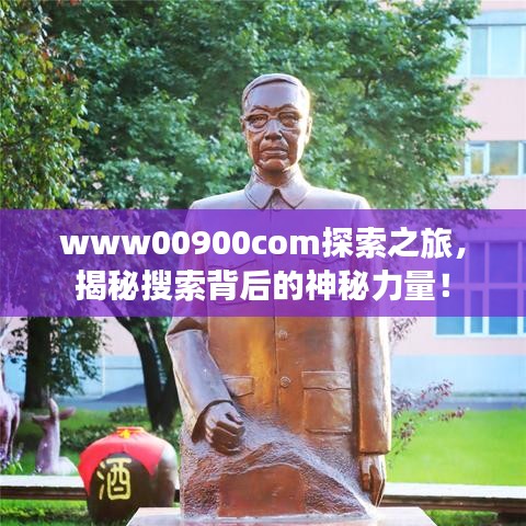 www00900com探索之旅，揭秘搜索背后的神秘力量！