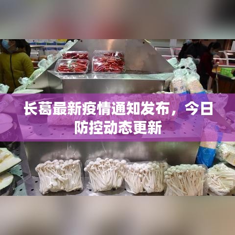 長葛最新疫情通知發(fā)布，今日防控動態(tài)更新