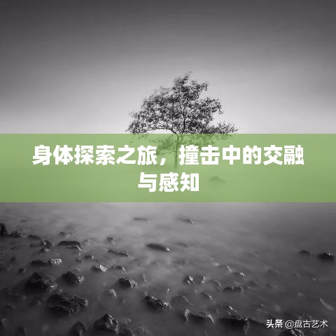 身體探索之旅，撞擊中的交融與感知