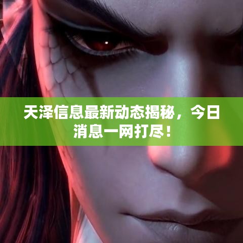 天澤信息最新動態(tài)揭秘，今日消息一網(wǎng)打盡！