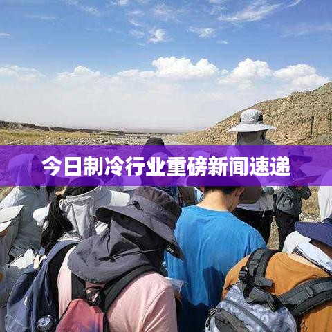 今日制冷行業(yè)重磅新聞速遞