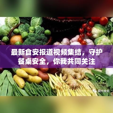 最新食安報道視頻集結(jié)，守護(hù)餐桌安全，你我共同關(guān)注