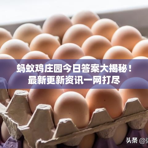 螞蟻雞莊園今日答案大揭秘！最新更新資訊一網(wǎng)打盡