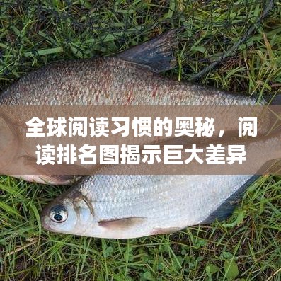 全球閱讀習(xí)慣的奧秘，閱讀排名圖揭示巨大差異！