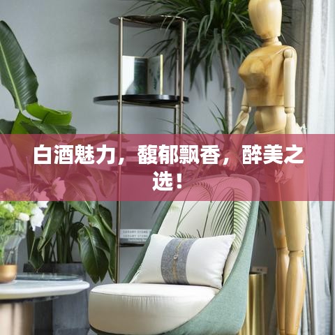 白酒魅力，馥郁飄香，醉美之選！