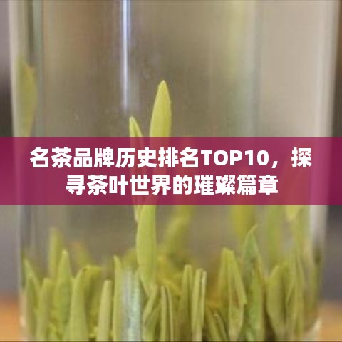 名茶品牌歷史排名TOP10，探尋茶葉世界的璀璨篇章