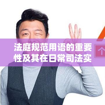 法庭規(guī)范用語的重要性及其在日常司法實(shí)踐中的應(yīng)用
