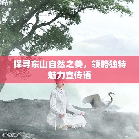 探尋東山自然之美，領(lǐng)略獨(dú)特魅力宣傳語