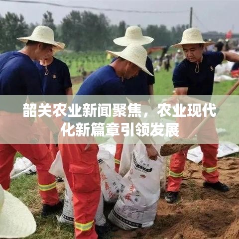 韶關(guān)農(nóng)業(yè)新聞聚焦，農(nóng)業(yè)現(xiàn)代化新篇章引領(lǐng)發(fā)展