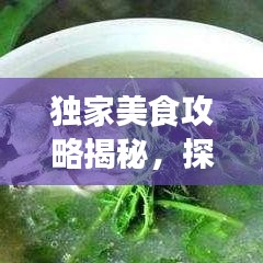 獨(dú)家美食攻略揭秘，探索味蕾盛宴的極致之旅