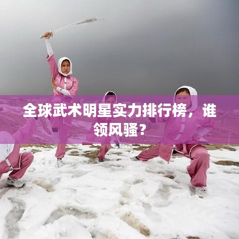 全球武術(shù)明星實(shí)力排行榜，誰(shuí)領(lǐng)風(fēng)騷？