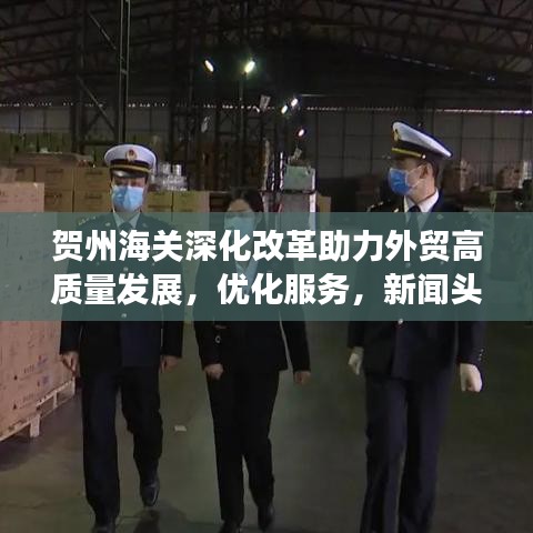 飛揚(yáng)撥扈 第3頁