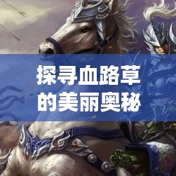 探尋血路草的美麗奧秘，百度圖片帶你領略血路草的風采